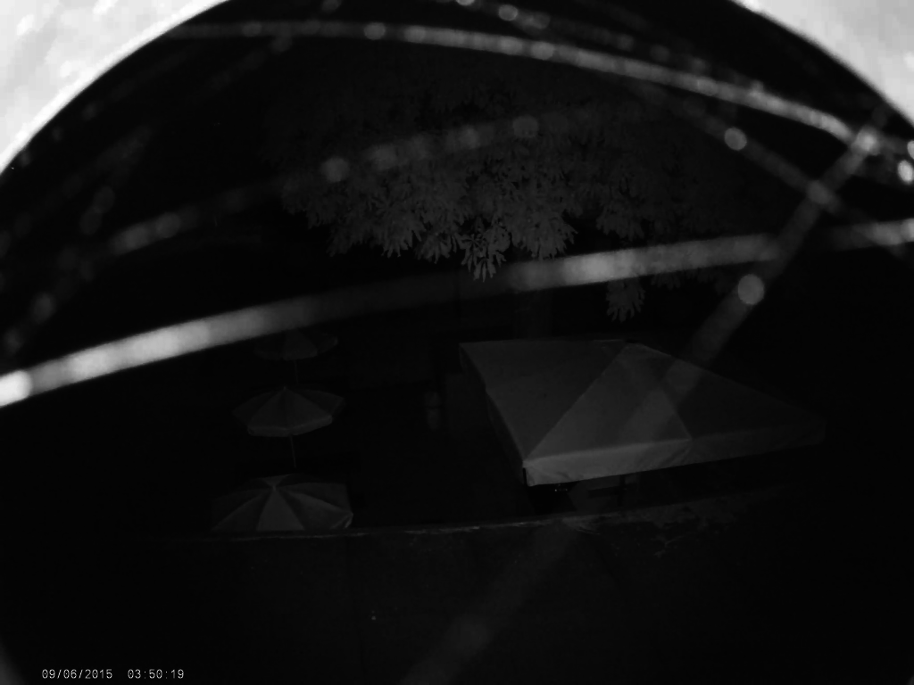 vlcsnap-00012