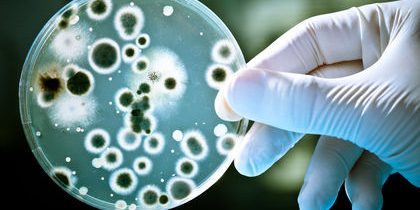 gloved hands with the laboratory tubes
